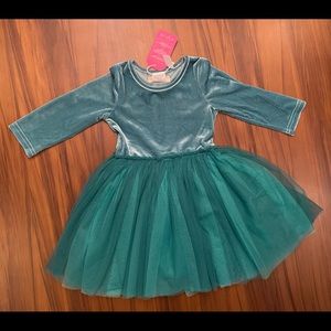 NWT Taylor Joelle velvet tutu dress